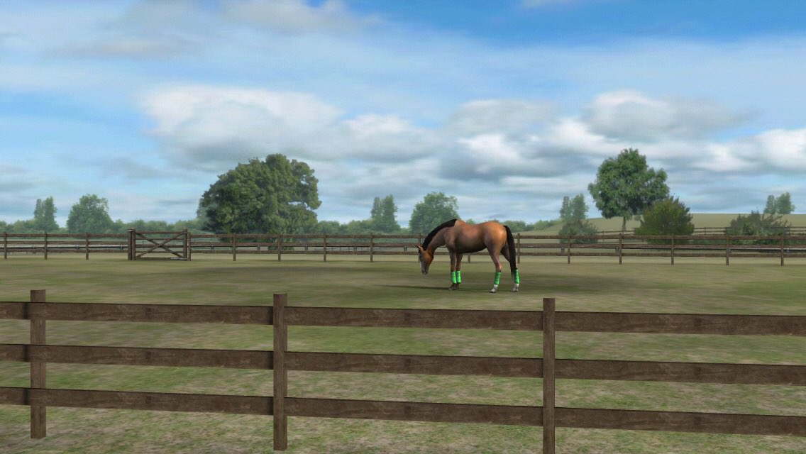 mie_kurobas's tweet photo. 自分の写真をチェックする Add me, mamahime. #MyHorse https://t.co/acINCRzFmT