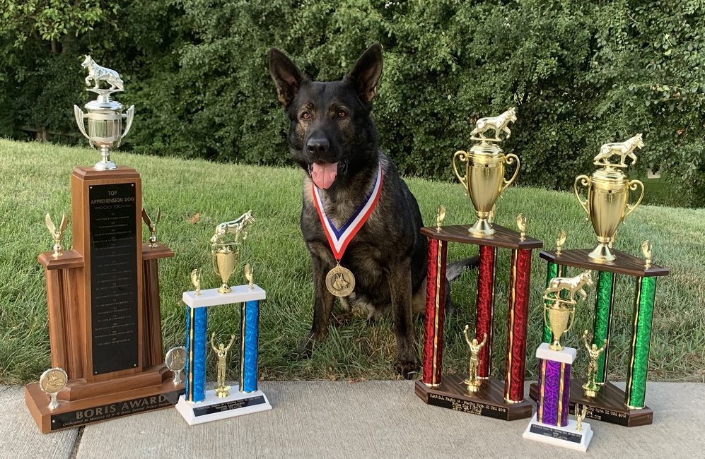 LMCScanner's tweet photo. Just two weeks after being named the nation’s top Law Enforcement Hero Dog, Lake County Sheriff Canine Dax placed top-dog at a regional competition and then located a missing man on his first shift back. https://t.co/tbuNhosCYK https://t.co/SiS1ZOmo52