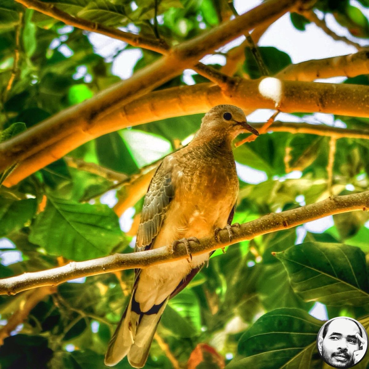 CompoSZer's tweet image. #rebelT3