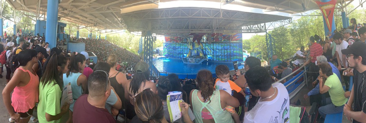 BethBaisch's tweet photo. Standing room only for Ocean Discovery at @SeaWorldTexas! Loads of people learning about the amazing animals and getting inspired to save their wild cousins. #standwithseaworld #zoosmatter #SeaWorld https://t.co/2mo6jlyomv