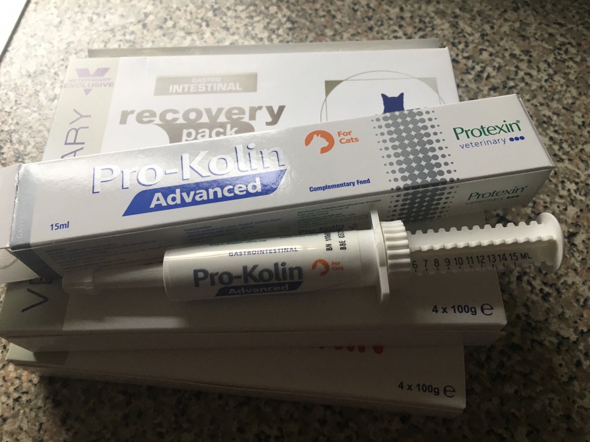 RaspberryMT's tweet image. bin VETs today as more liquid💩Was brave(cuddled into mummy)ad full exam n temp check n antibiotic injection Bin prescribe special diet n probiotics mummy say she zery proud of me😻
Bit brighter zis evening enjoyed furst special diet pack tho probiotic yuk🙀
Appy #caturday💗💕💗