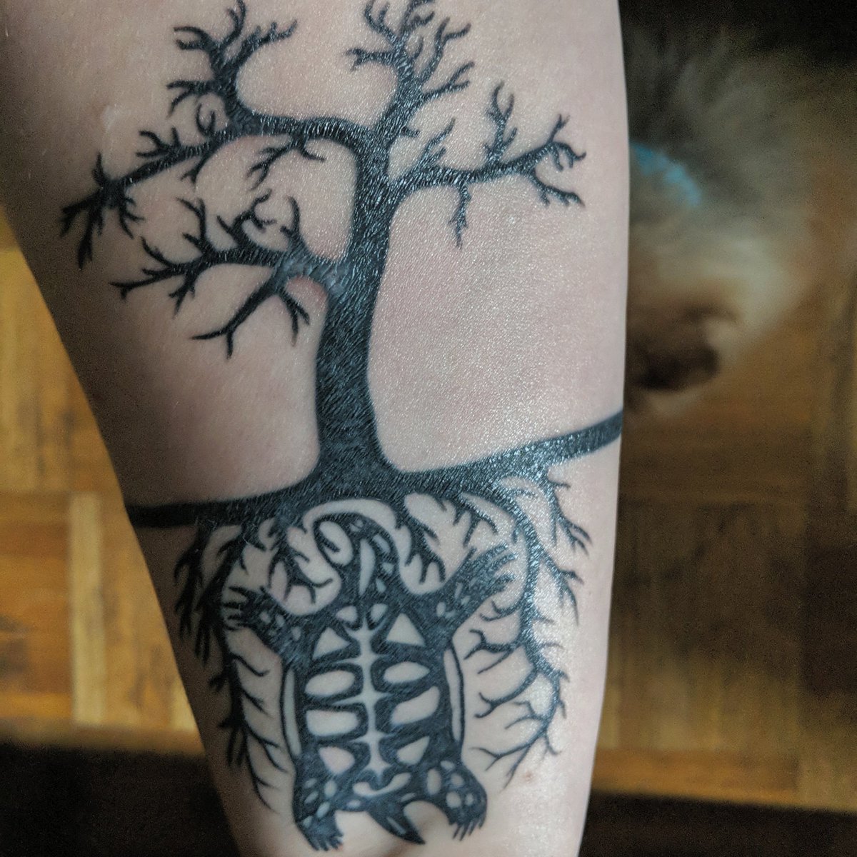 My miskwaadesi is healing nicely now, with no help from my dog scratch on the bottom tree branch.

#tattoo #tattooculture #firstnations #Anishinaabe #ojibwe #indigenous #indigenousart #firstnationsartist #woodlands #TurtleIsland #canadianartist #edmontonartist #yegartist