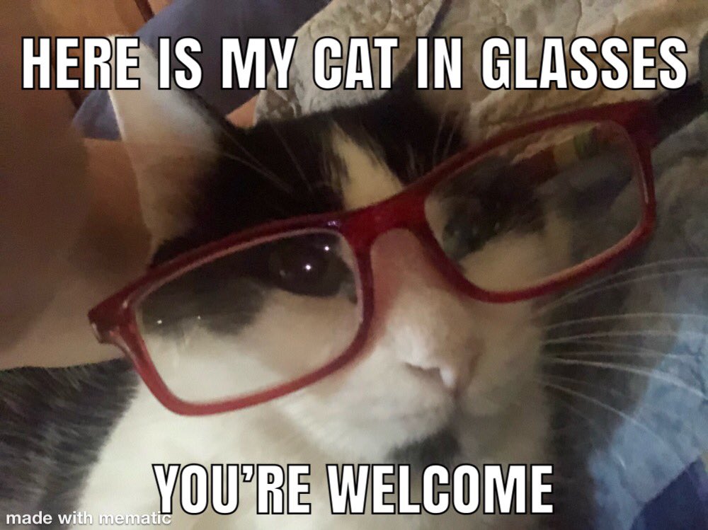 lspin39's tweet image. This is my cat, Mickey. We were just hangin’ out this morning watching TV and I forced him to wear my glasses. He was thrilled... #catinglasses #mycat #glasses