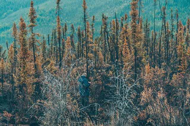 CreativeNorthTV's tweet photo. Looking for a wildfire 📷 @christopherjhealey https://t.co/jDaJGMHnwQ https://t.co/LM2qAPvECX