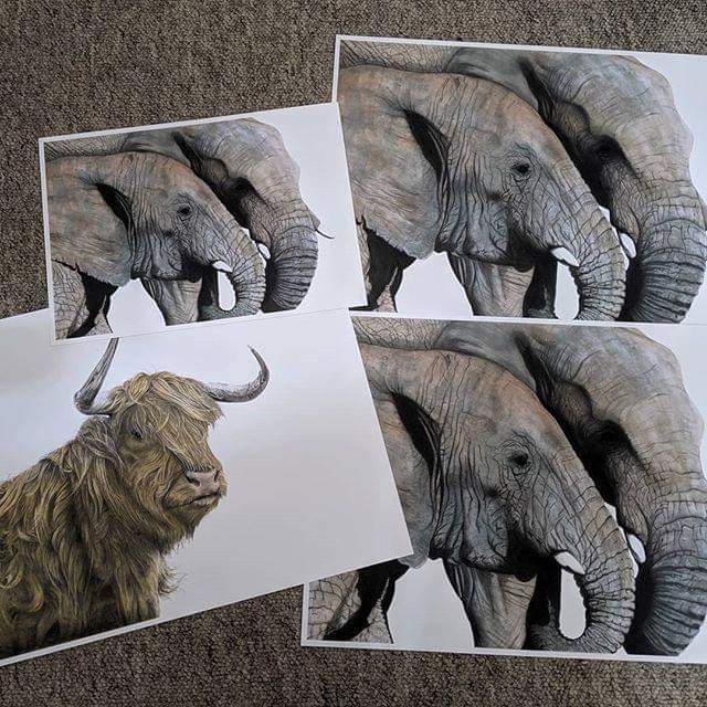 ArtistJeffery's tweet photo. First customer orders ready to go to their new homes

#animalart #wildlifeart #wildlife #art #artist #charcoaldrawing #charcoal #watercolour https://t.co/4JK5gMHHzY