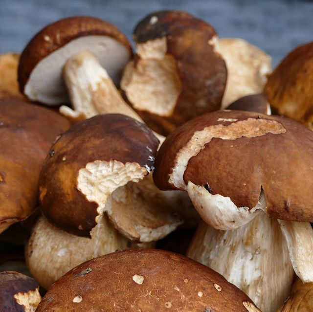 Une bonne journée ... ift.tt/2KCXAot