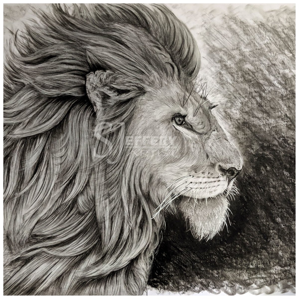 ArtistJeffery's tweet photo. #animalart #wildlifeart #wildlife #art #artist #charcoaldrawing #charcoal #Lions #lionart https://t.co/nlptySPAxz