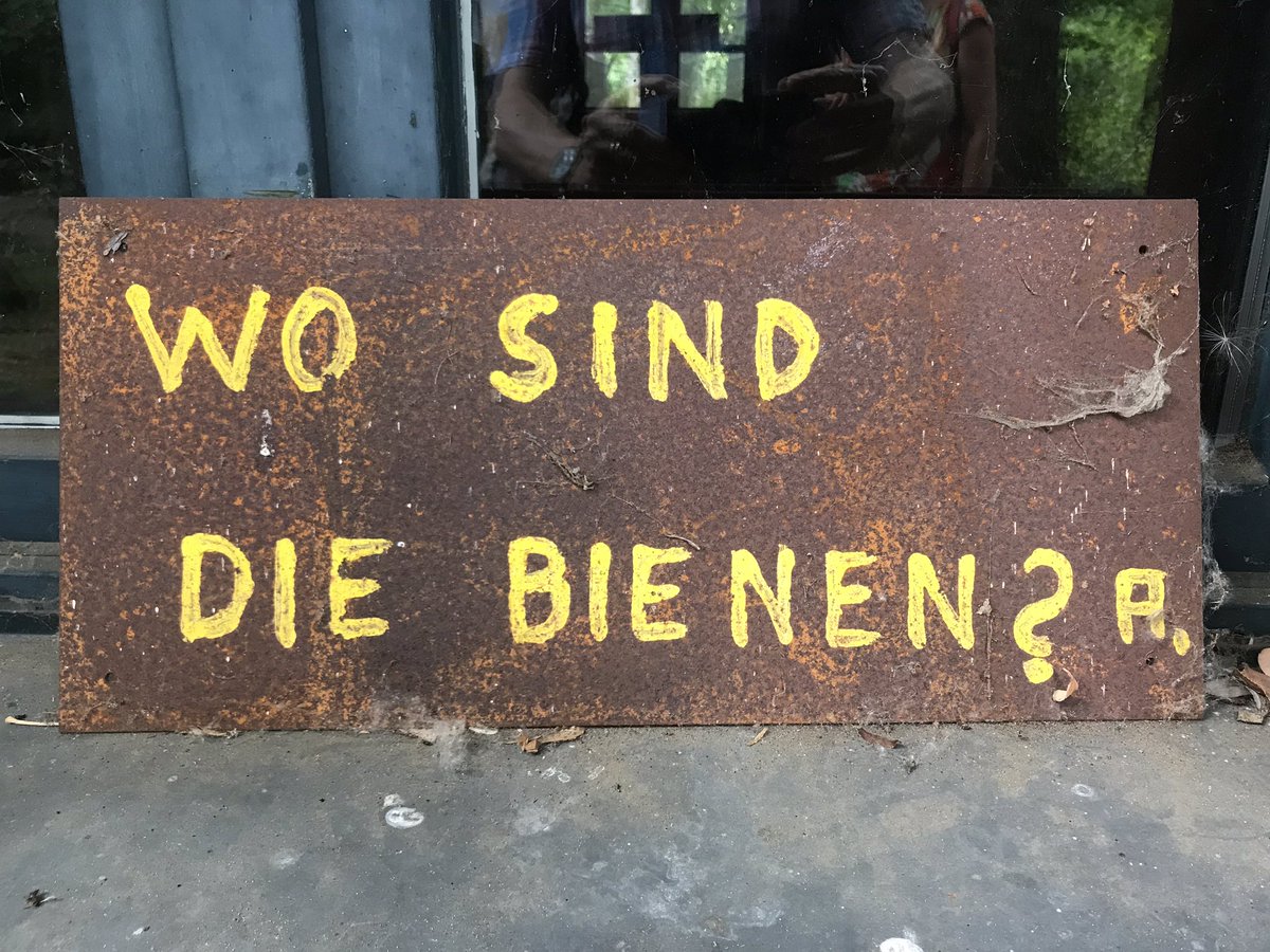 HarrySuilen's tweet photo. Bezocht vandaag met kennissen en kenners Insel #Hombroich nabij #Neuss. Fijn als die kennissen je meer kunnen vertellen over de architect #Herich en kunstenaar #Anatol die daar veel werk gemaakt hebben in een mooi landschapspark . https://t.co/iuReFqJt8Q