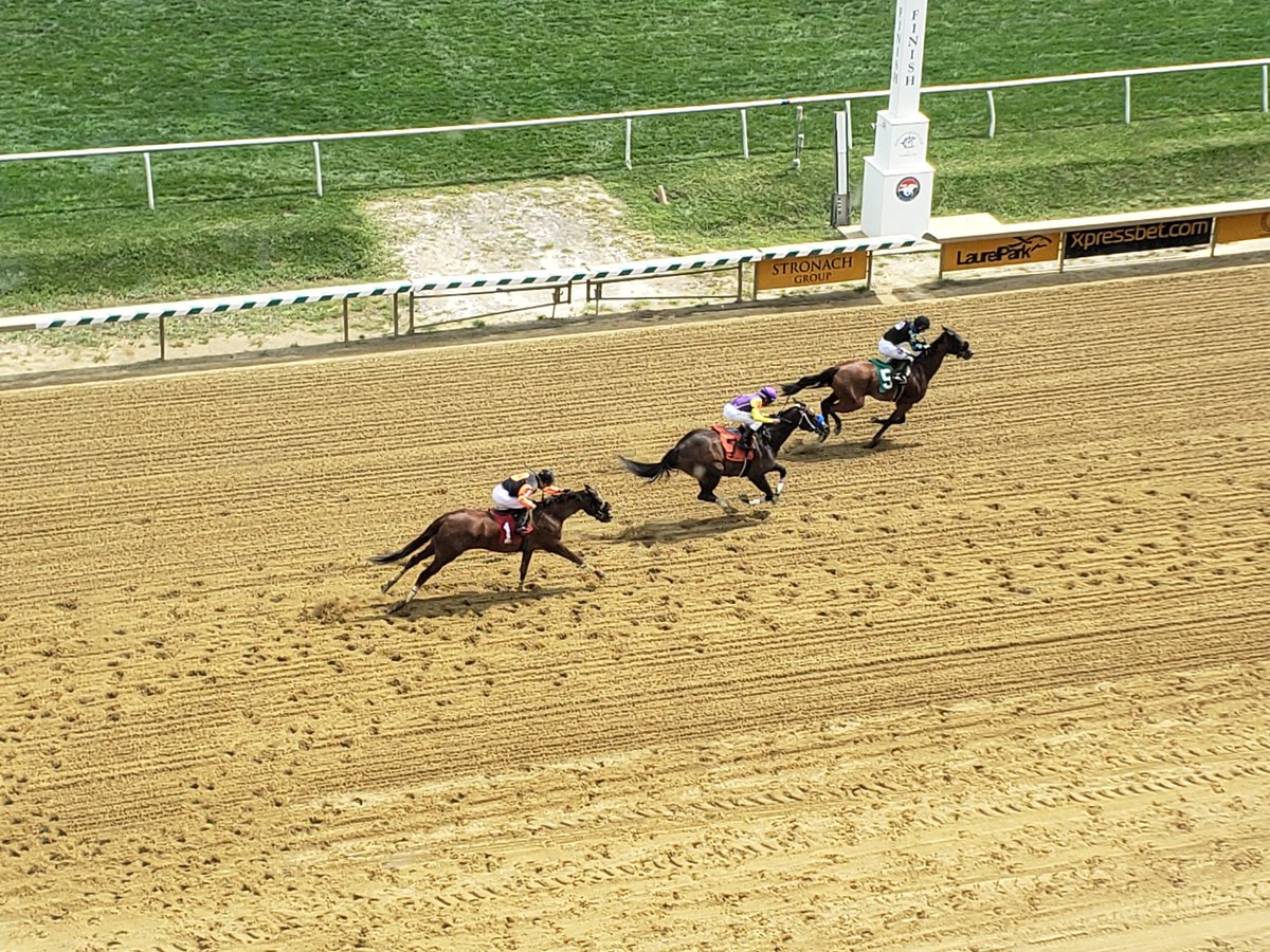 Neyami holds off Lonely Drifter,  snapping the latter's 7-race win streak; <a href="/Westonhamilton6/">Weston hamilton</a> up for Jamie Ness