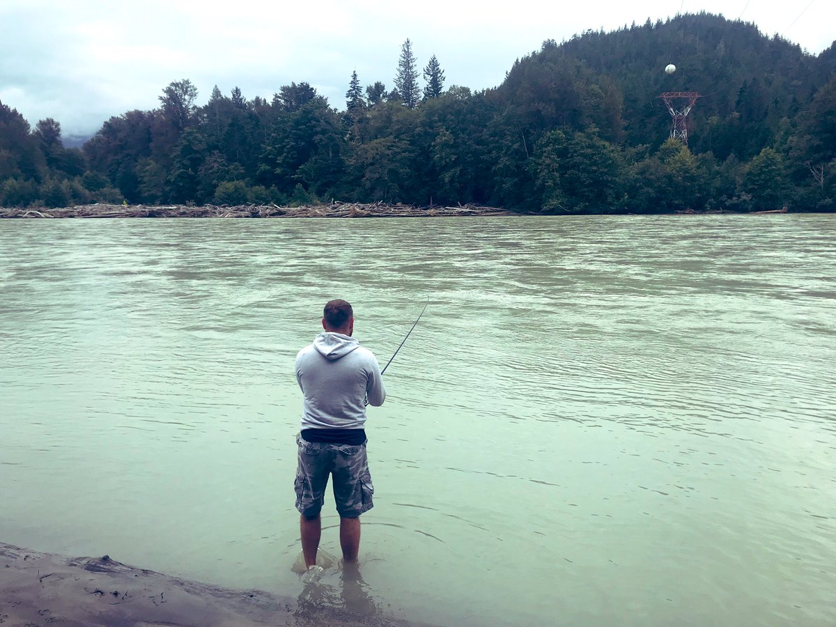 Bears, seals, eagles but no salmon . #squamish #fisherman #not
