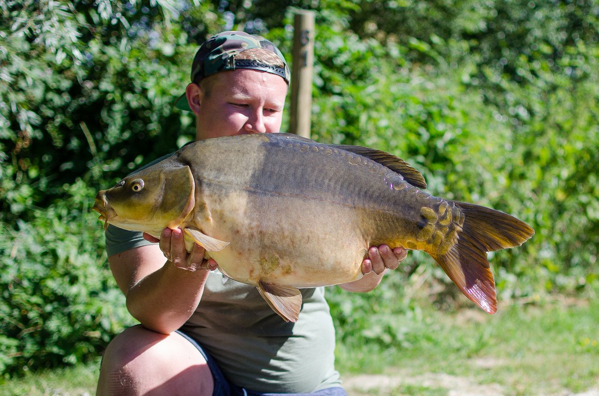 BristolAnglingCentre tweet media