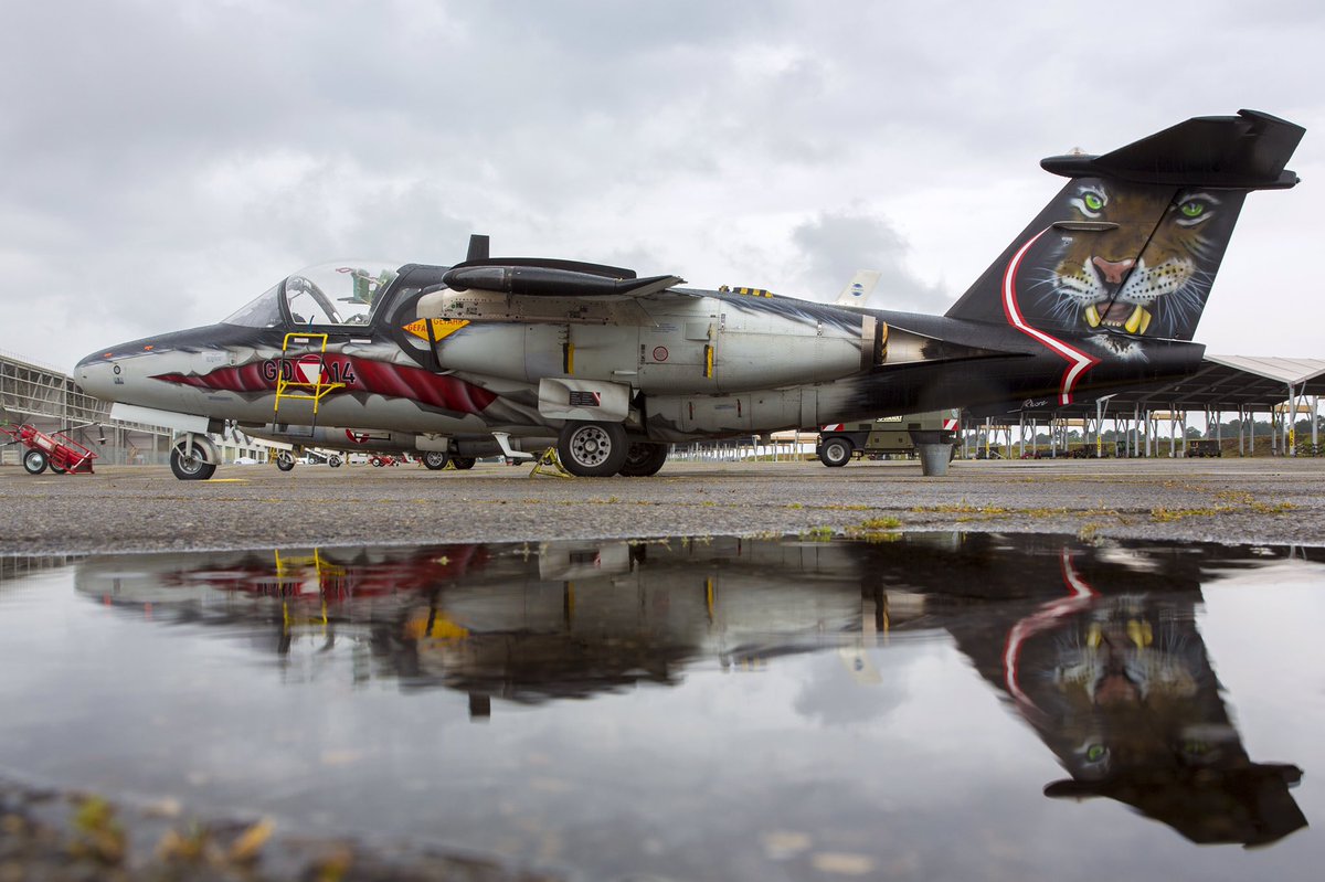 Throwback to this years <a href="/NatoTigers/">Tiger Association</a> Meet <a href="/NATO/">NATO</a> with some awesome aircraft liveries on display...