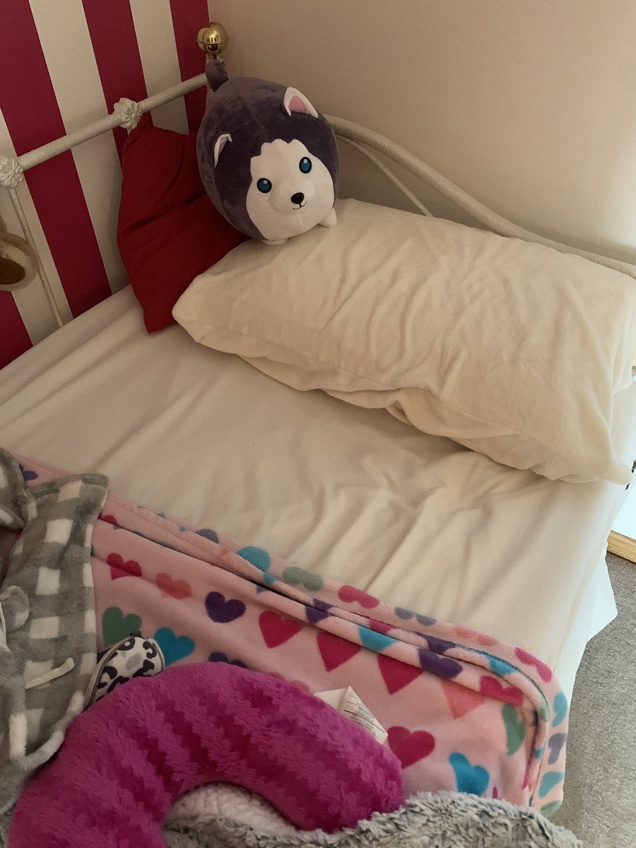 shezookey's tweet image. Awwww look what I got from @_Aphmau_ it’s so CUUUUTE!!!! #adorable #WolfPlush #Aphmau #Aaron @JasonBravura I love Wolf so much thank you Jess Jason and everyone else and I wish everyone a wonderful day