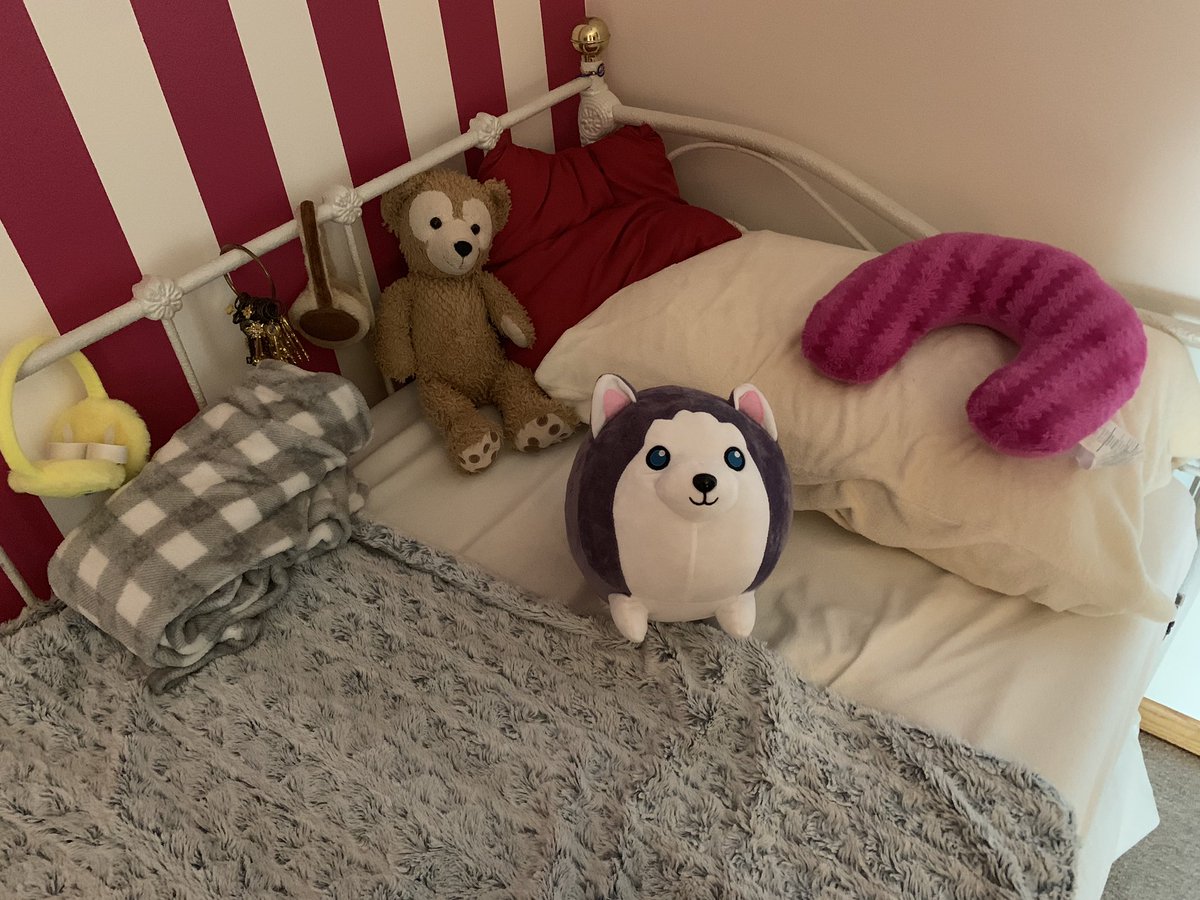 shezookey's tweet image. Awwww look what I got from @_Aphmau_ it’s so CUUUUTE!!!! #adorable #WolfPlush #Aphmau #Aaron @JasonBravura I love Wolf so much thank you Jess Jason and everyone else and I wish everyone a wonderful day