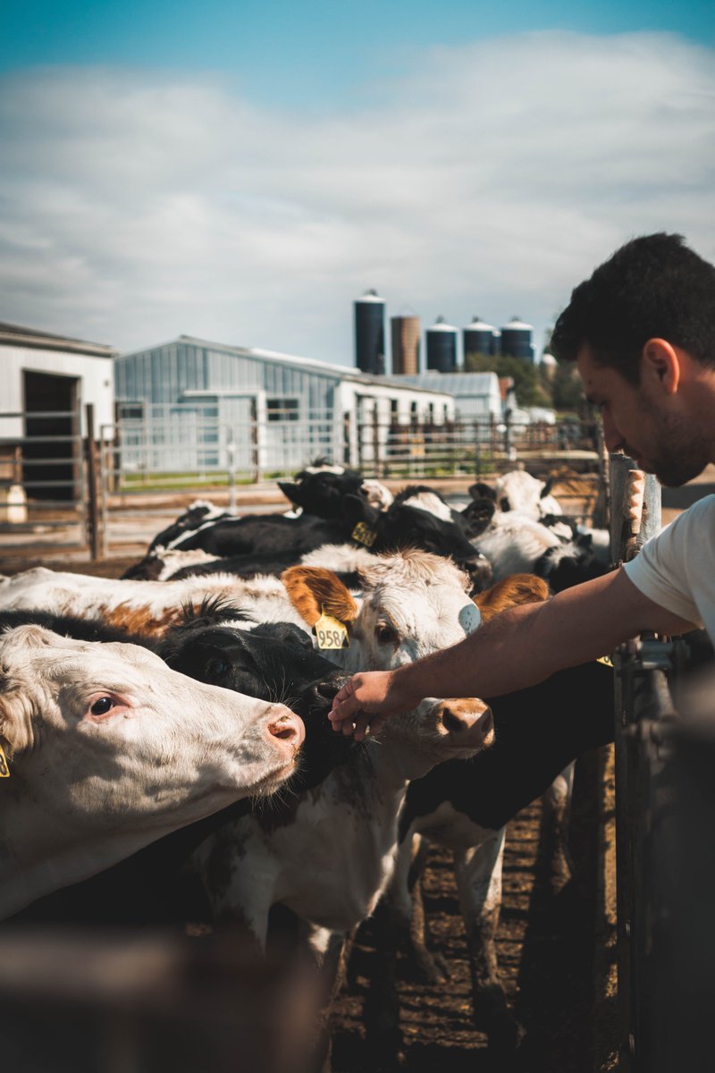 Earnest Agriculture tweet media