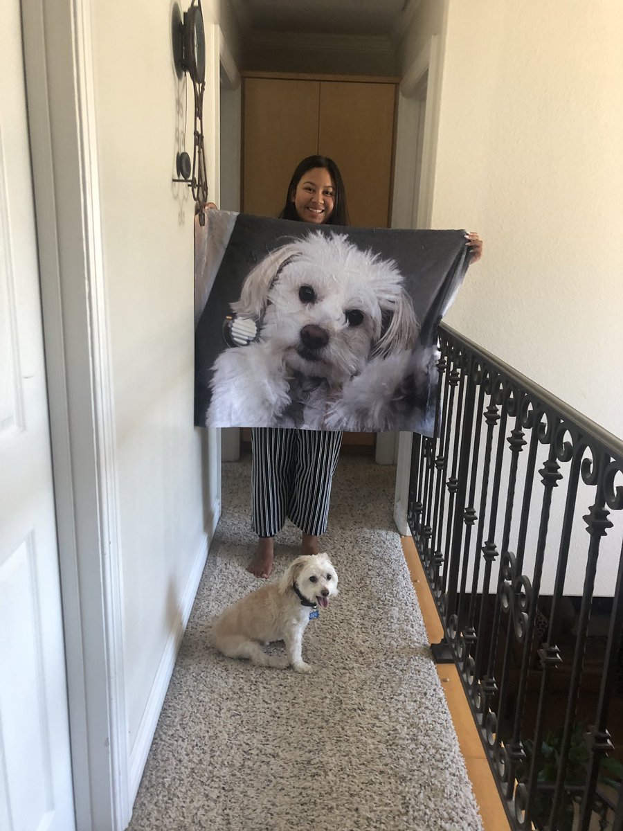 triciajakiatan's tweet photo. open for a surprise <3

thank you tp my gf @madiiwhitney for this cuteass birthday gift 🥺 https://t.co/BySsWd49cK