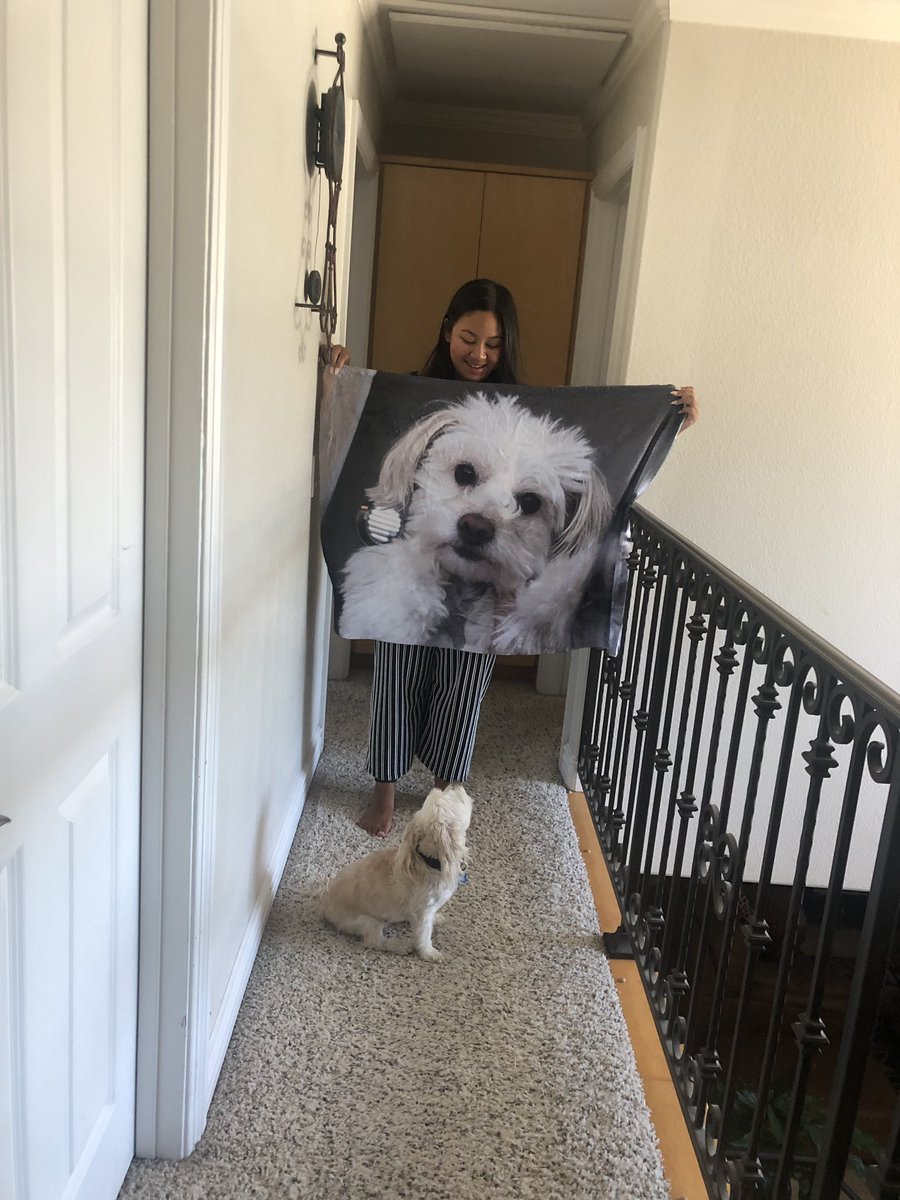 triciajakiatan's tweet photo. open for a surprise <3

thank you tp my gf @madiiwhitney for this cuteass birthday gift 🥺 https://t.co/BySsWd49cK