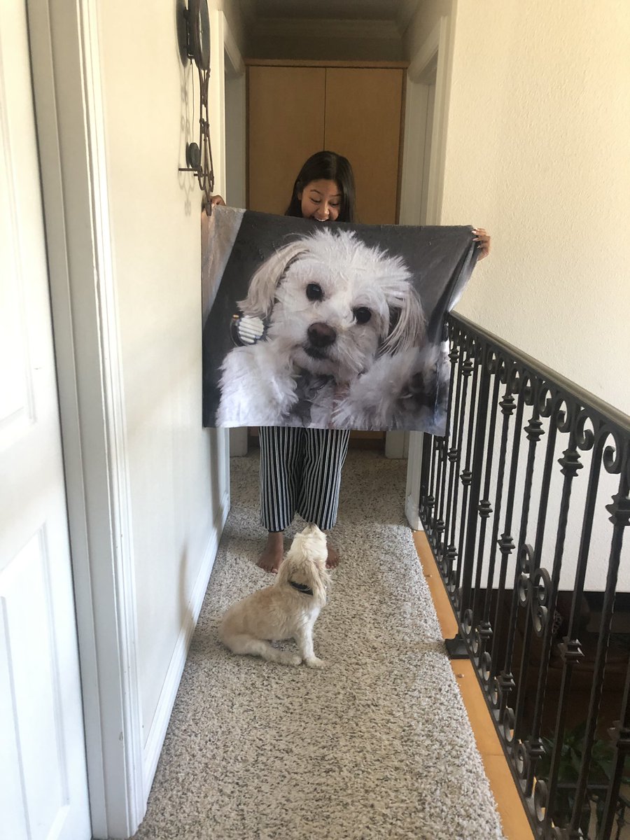 triciajakiatan's tweet photo. open for a surprise <3

thank you tp my gf @madiiwhitney for this cuteass birthday gift 🥺 https://t.co/BySsWd49cK