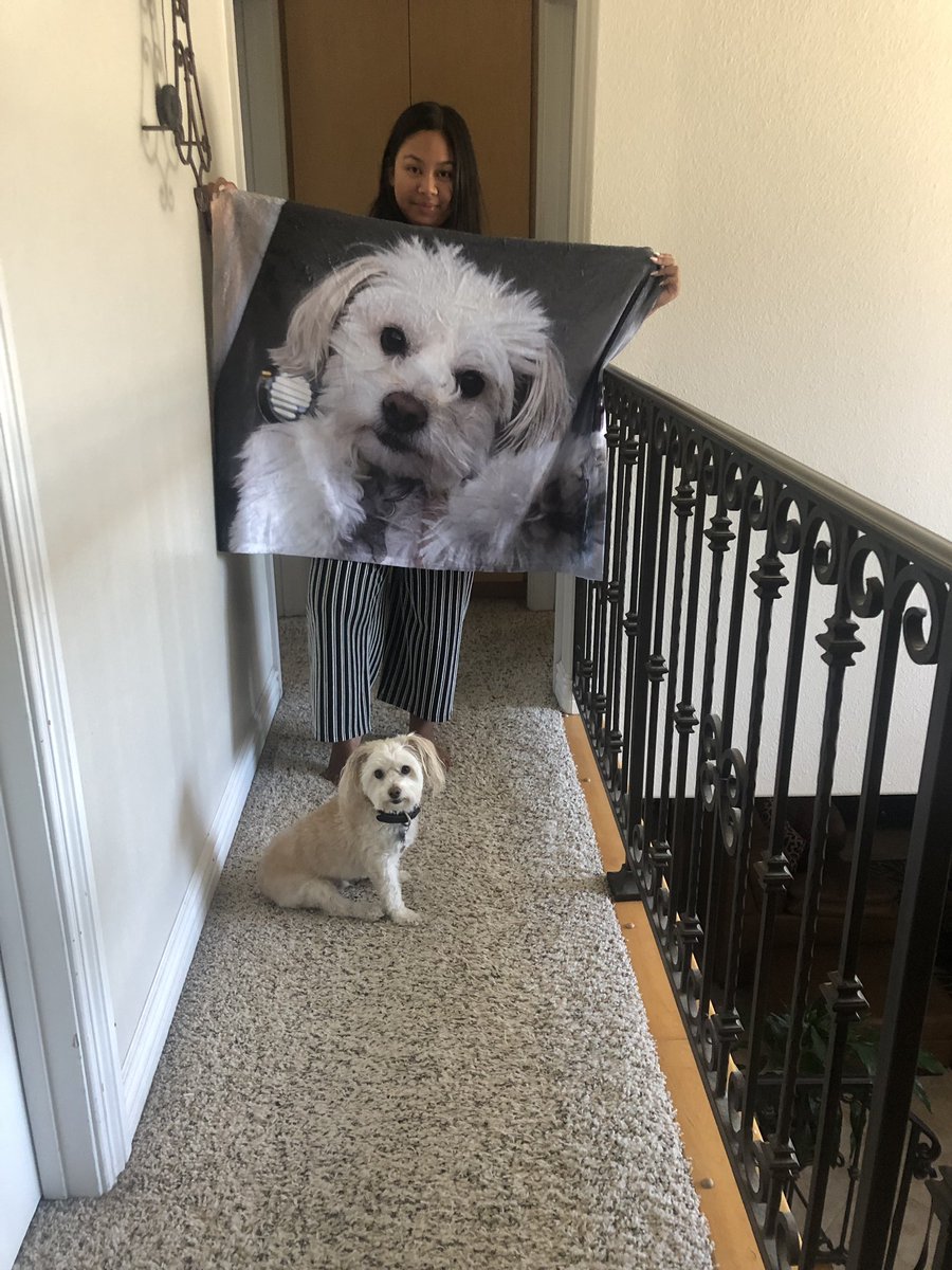 triciajakiatan's tweet photo. open for a surprise <3

thank you tp my gf @madiiwhitney for this cuteass birthday gift 🥺 https://t.co/BySsWd49cK
