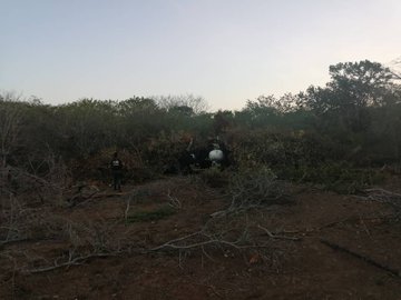 Ver imagen en Twitter