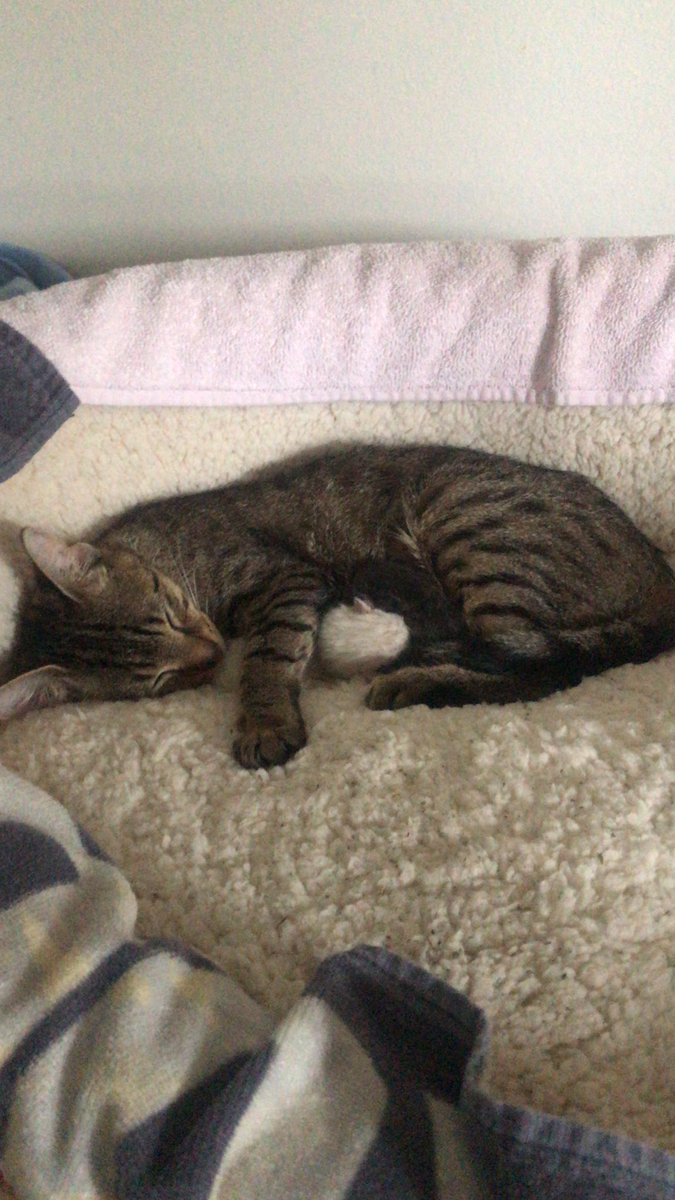 TweeterbugKayla's tweet image. #TaylorSwiftIsLoved