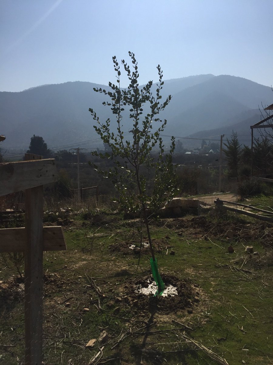 Quilmag's tweet photo. Falta mucha agua https://t.co/0FA6U1gd8g