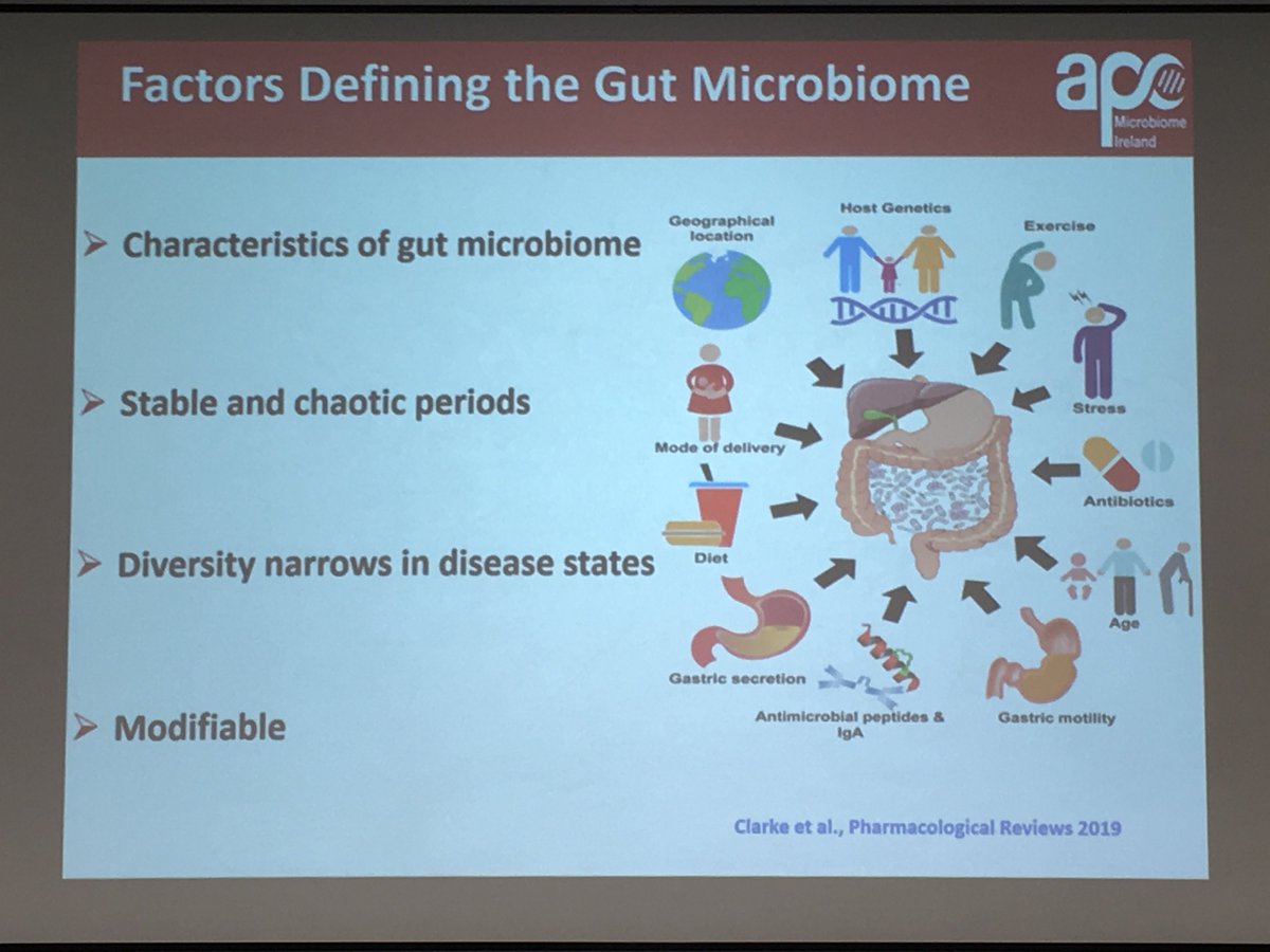 paulinabond1's tweet photo. Gerard Clarke: the influence of the gut bacteria on thinking & behaviour. Elite athletes have one of the highest diversity of gut #microbiota How can we use it to create interventions to motivate kids that are into #football to eat nutritious? #Inbodiedinteraction @Pharmabiotic https://t.co/KRTMLJhaip