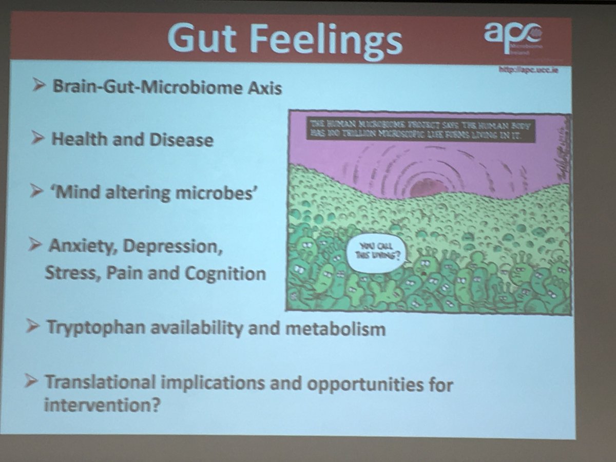 paulinabond1's tweet photo. Gerard Clarke: the influence of the gut bacteria on thinking & behaviour. Elite athletes have one of the highest diversity of gut #microbiota How can we use it to create interventions to motivate kids that are into #football to eat nutritious? #Inbodiedinteraction @Pharmabiotic https://t.co/KRTMLJhaip