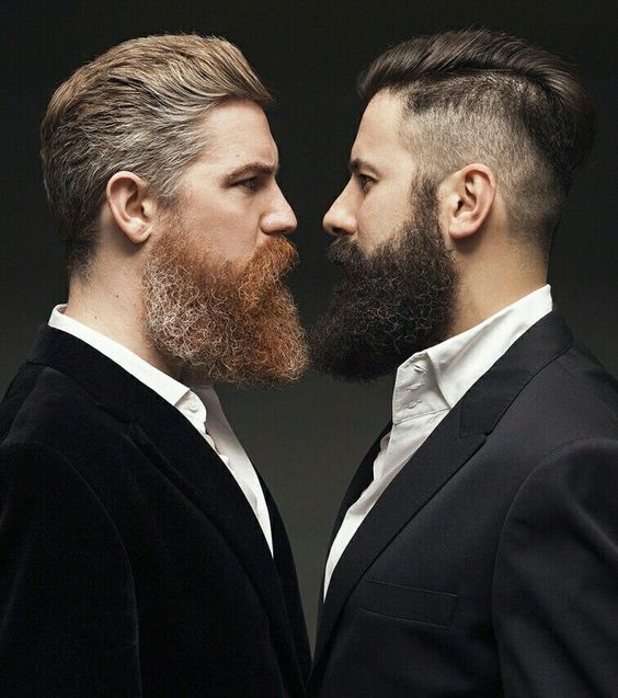 Beards Collision 👊🔥