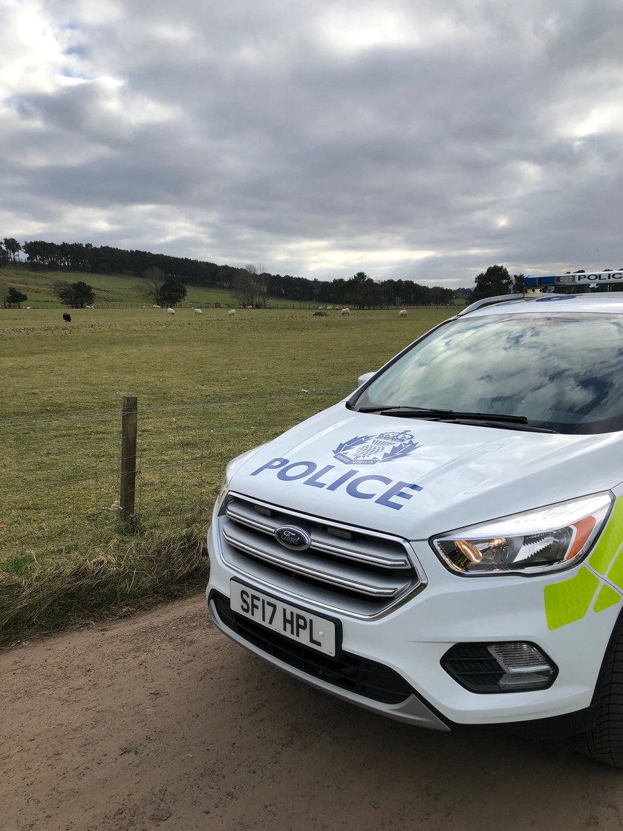 After a recent incident of livestock worrying in farmland near the Pentland Hills, we take this opportunity to remind all dog owners to keep your dog on a lead around livestock. Livestock Worrying is an offence, even if no injury is caused to any animals #OpHarefield #TakeALead