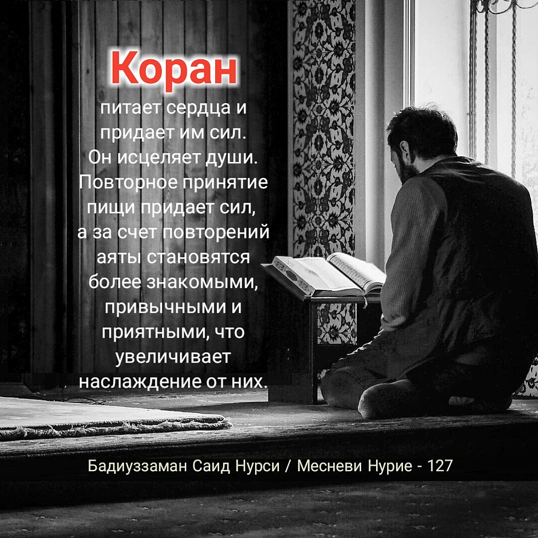 #Коран. #ислам. 