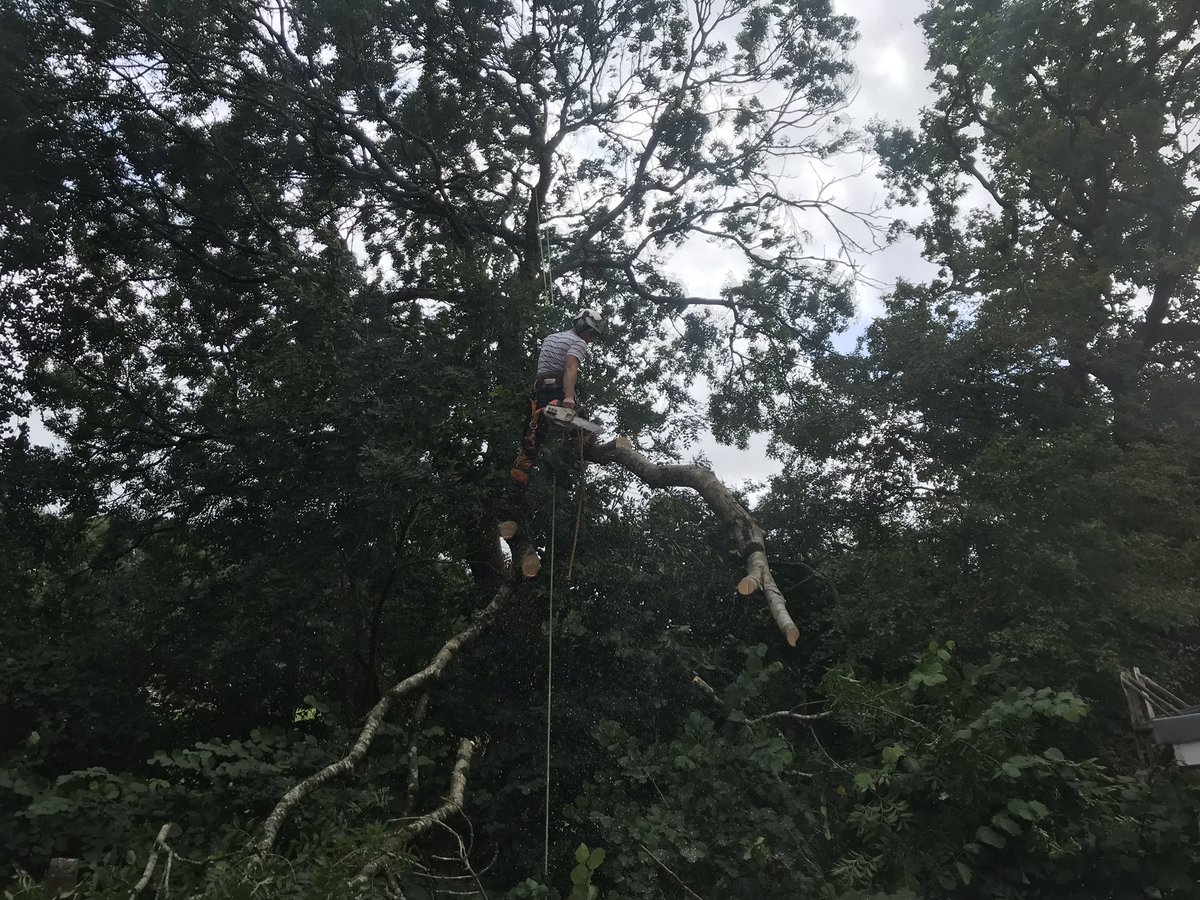clive4trees's tweet photo. Today’s call outs, trees down every where. https://t.co/EOZM43kZv7