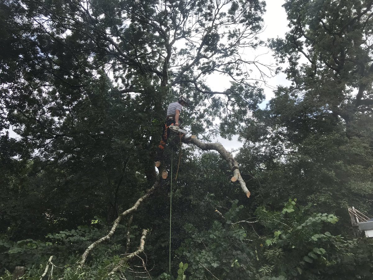 clive4trees's tweet photo. Today’s call outs, trees down every where. https://t.co/EOZM43kZv7