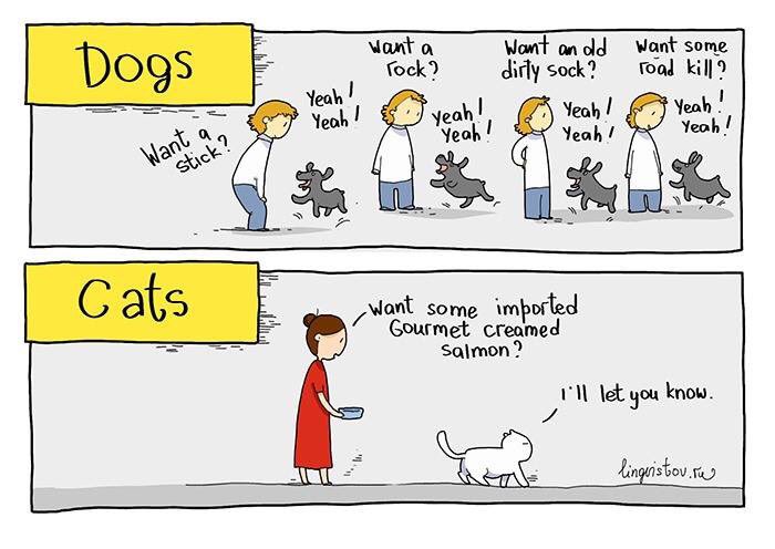 brianwhelton's tweet photo. It’s important you know the difference #CatsRulesDogsDroll https://t.co/uaqih5FbrG