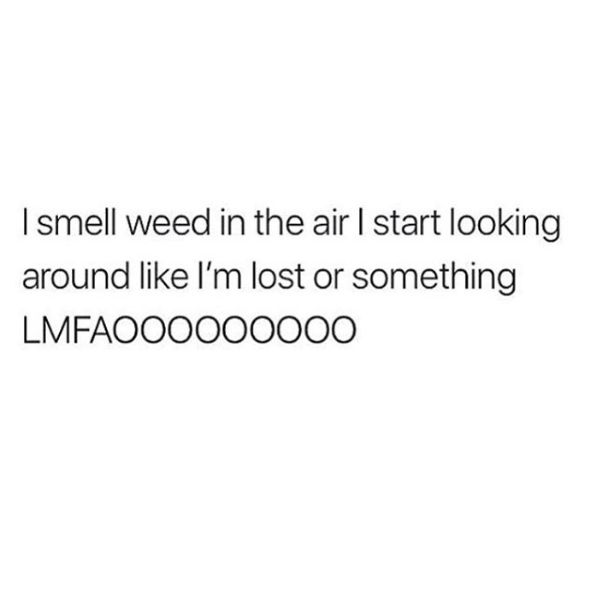 luvbrite's tweet photo. 100% of the time. #GetItDelivered #LuvbriteDelivery #LosAngeles #CannabisDelivery #SantaMonica https://t.co/bcKDopTTvT