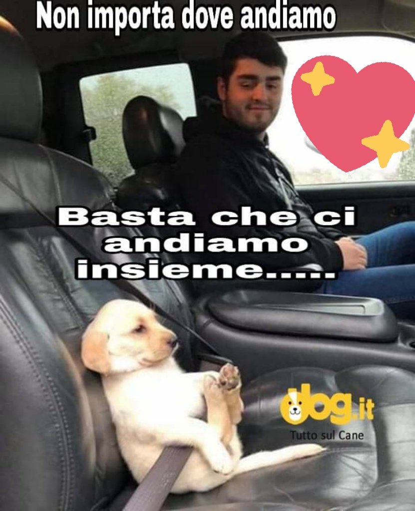 vboserman's tweet image. No importa donde siempre que vayamos juntos #FelizSabado #BuenasNoches