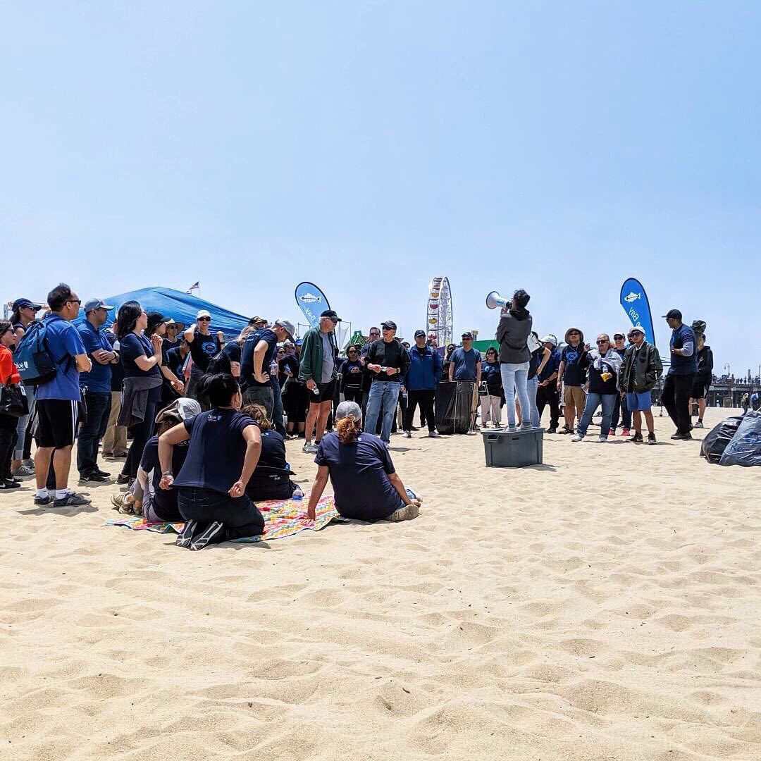 hbsummerseries's tweet photo. #Hermosa is proud to be a community devoted to taking action and protecting what we love. #HBSS is proud to partner with @HealTheBay to help clean-up our oceans! 🌎🙌 See meet times below:
Aug 17 | (North Side of Pier) 12pm
Aug 18-19, 24-26 | Stage (South Side of Pier) 8am https://t.co/A8yM54ylak