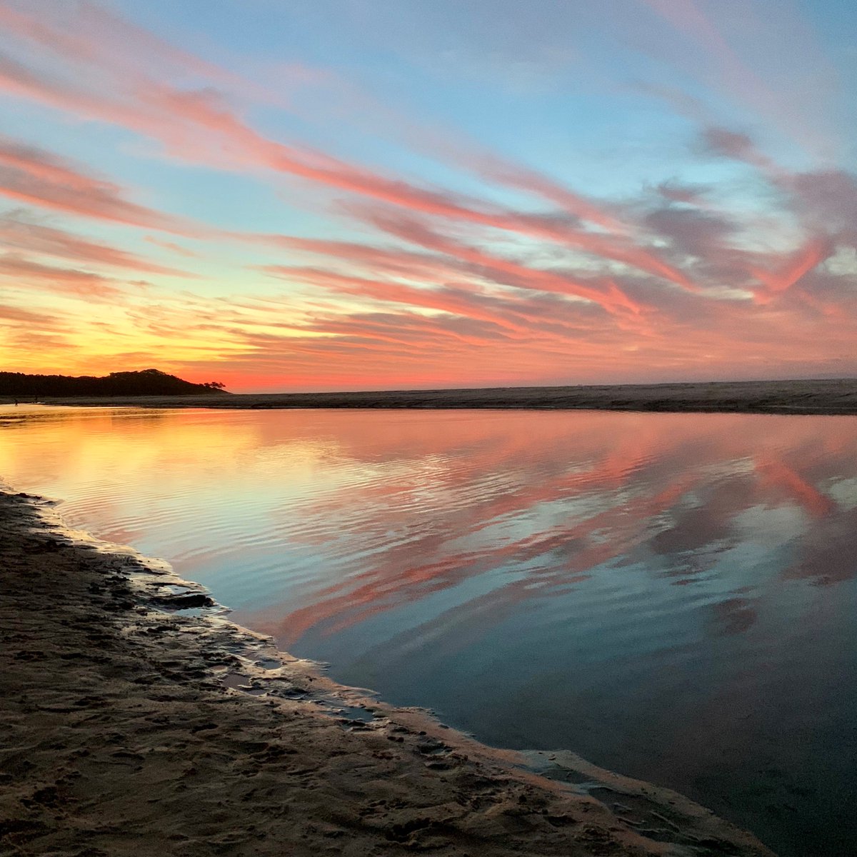 Straddie Hotel tweet media
