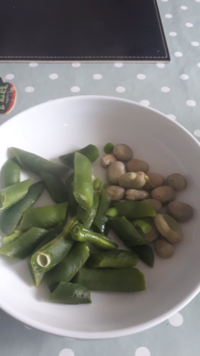 @gary_takacs @dentaldesign @dentistmel @lisaeditor @dentinaltubules @Revel_Dental @LndnSmileClinic @HRSDental @NG18Dentist Thanks Gary....eating our first pickings from the veg garden tonight broad beans and runner beans 100% organic i grew from seed HAPPY WEEKEND all xx