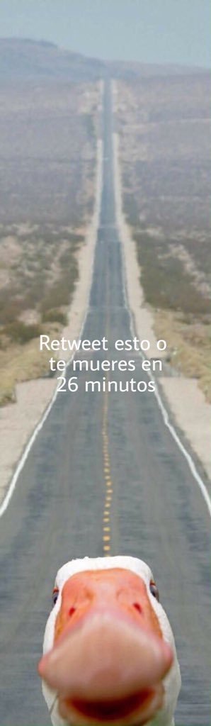 Abre para una sorpresa