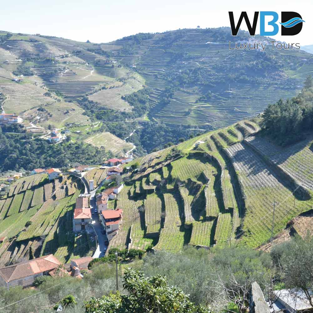 WestBlueDreams1's tweet photo. 🇵🇹The Tua Valley is part of the Alto Douro Wine Region and the magnificent geography drawn by the river provides a unique experience.
👉 https://t.co/GHEmS017X4
#VisitPorto #PortoLuxury #PortoClassic #LuxuryTour #exclusiveTour #ExcellenceTour #DeluxeTour #besttourguide #bestguide https://t.co/bGjox4n84O