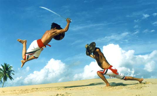 kalaripayattu is another famous Indian martial art prevalent in Kerala & Tamil Nadu in recent years it was taken as performing art & performed on stage too. But it has great tradition spanning centuries. rigorous training is given to students by Guru on pressure points of body .