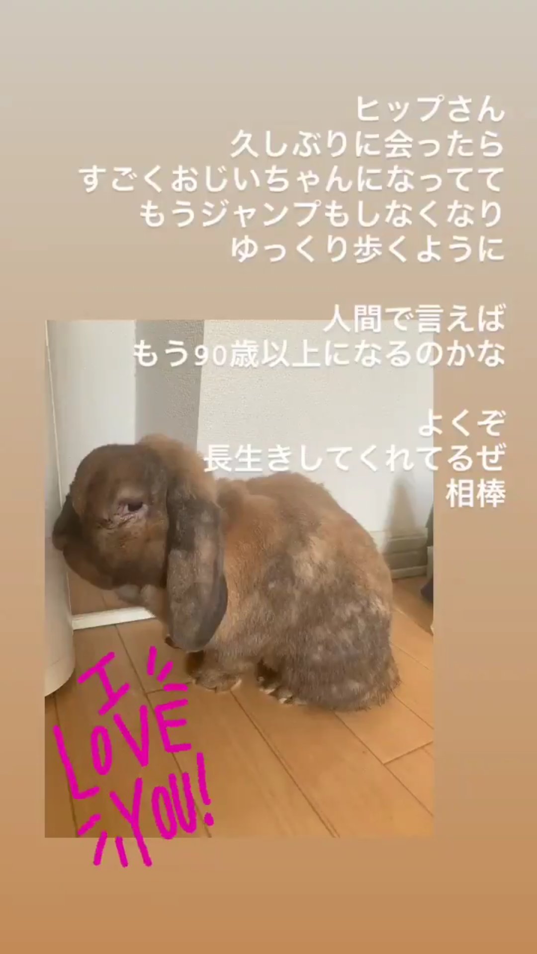 大島ヒップ Twitter Search Twitter