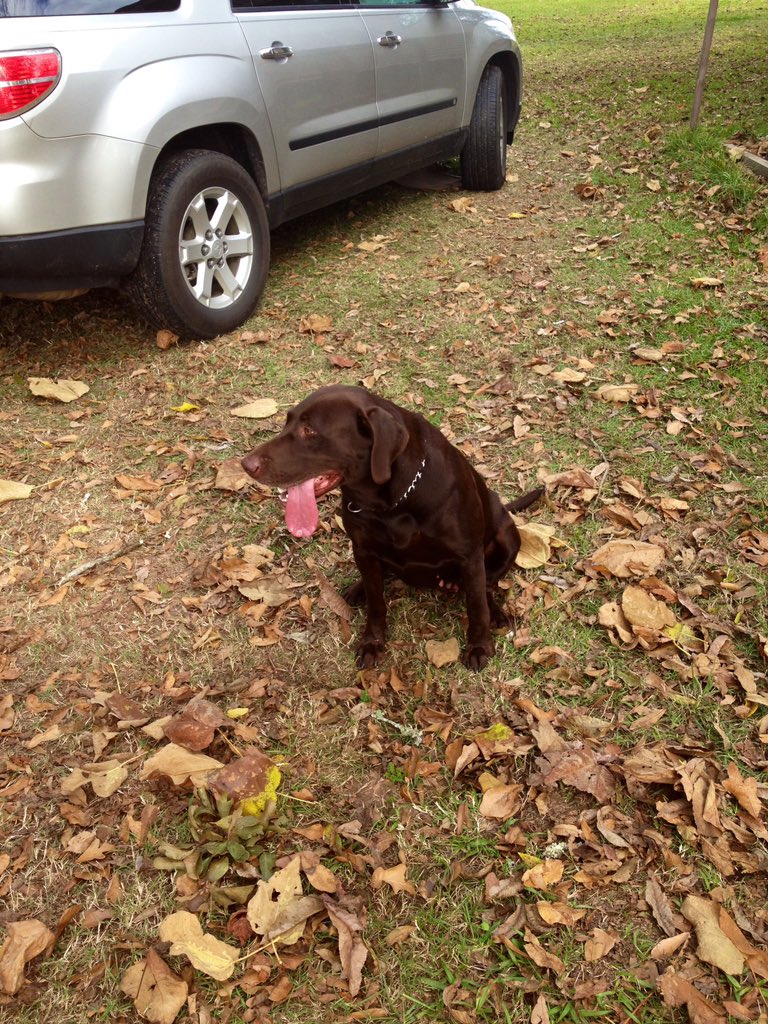 Tanner Bolton tweet media