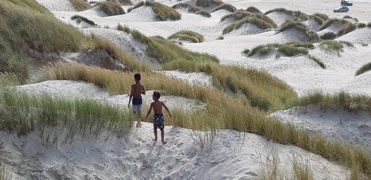ArtDrugDiscover's tweet photo. @francesarnold On vacation in the North of my native country Denmark. Beaches here are just beautiful #saltum #løkken #Denmark https://t.co/Kvpwit30Yg