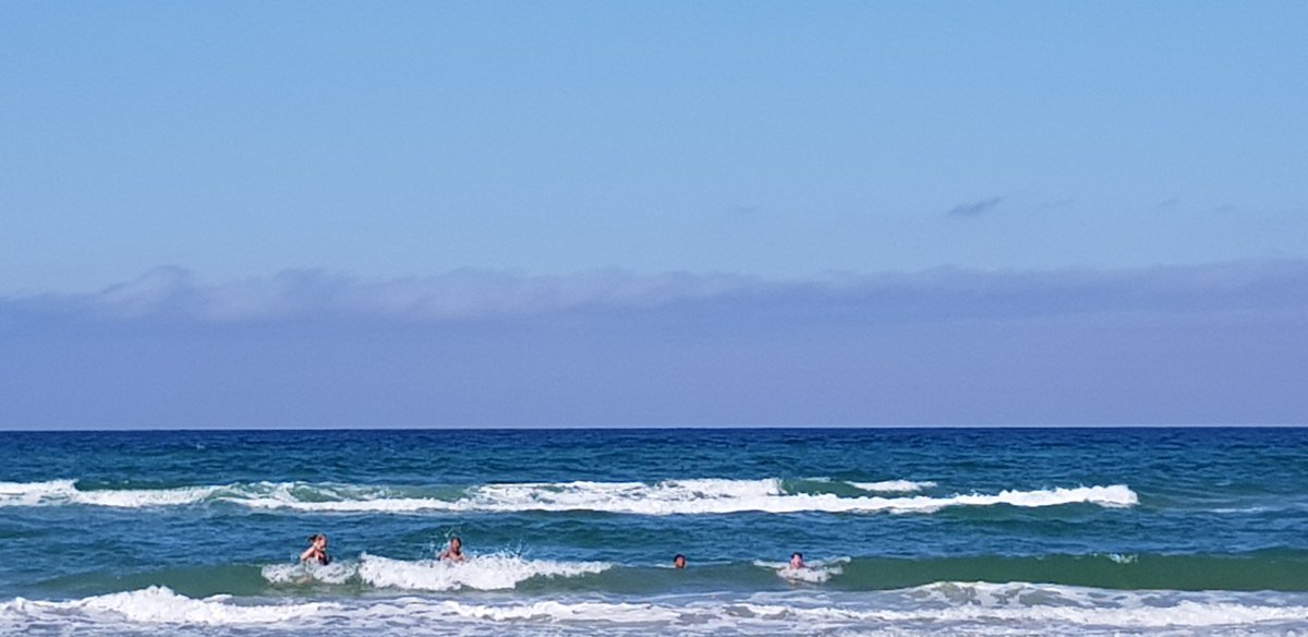 ArtDrugDiscover's tweet photo. @francesarnold On vacation in the North of my native country Denmark. Beaches here are just beautiful #saltum #løkken #Denmark https://t.co/Kvpwit30Yg