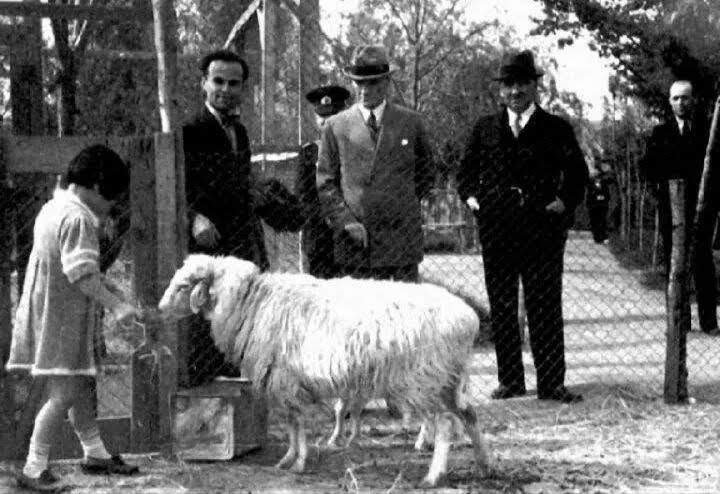 Barış,sağlık,mutluluk,kardeşlik ve huzur dolu bir dünya ümidiyle...
#Kurban #Bayramınız #Mübarek #Olsun