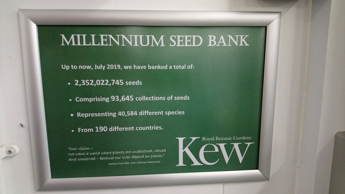 DocMartinKew's tweet photo. Always great to visit the most biodiverse place on the planet! Especially when you're with partners helping to secure seeds for the future. #KewPR @MichDSan14 @KewScience @USFWSSoutheast https://t.co/flMaaKsCrn