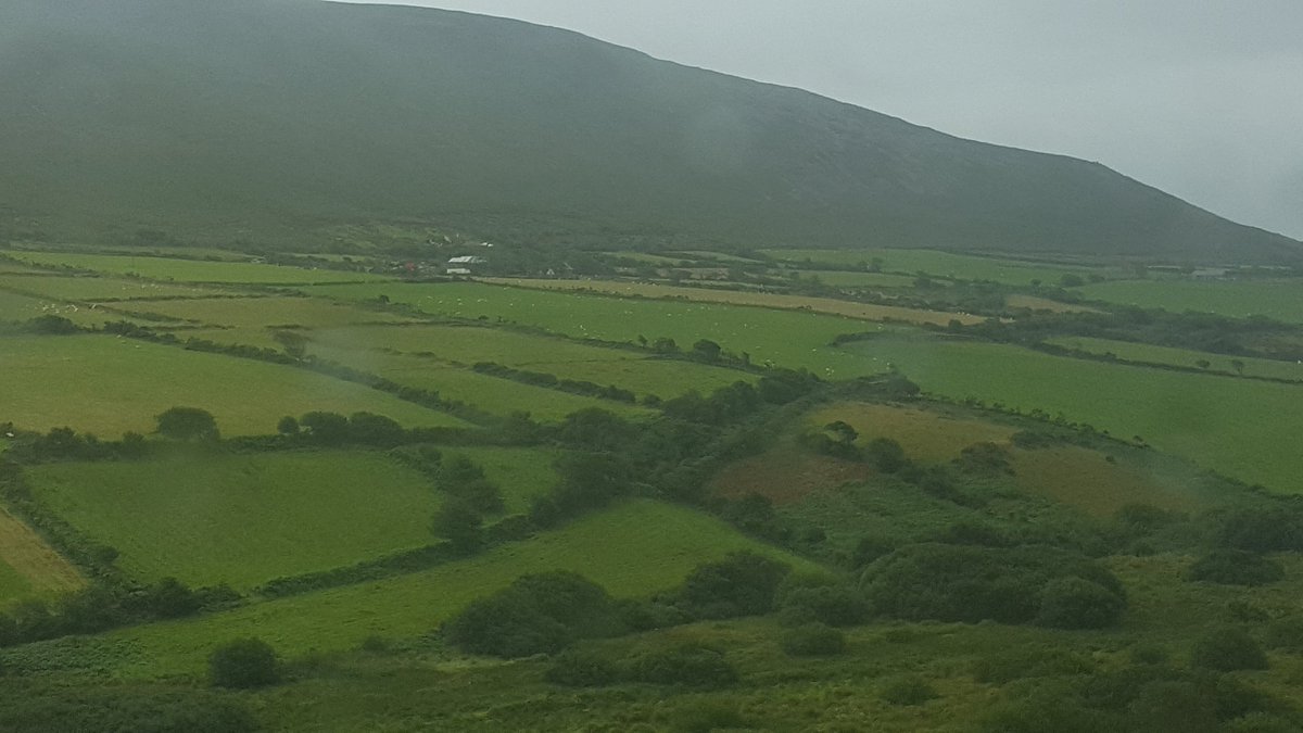 A rainy day in Dingle, Ireland is still a good thing.