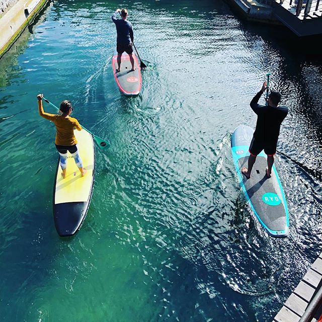 thetravelmanuel's tweet image. SUPPing in the @vandawaterfront canals with @supcapetown #supping #capetown #meetsouthafrica ift.tt/2GZLPaC